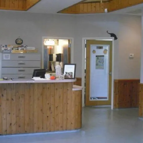 Pawleys Veterinary Hospital Reception desk and waiting area
